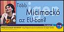 mici.jpg