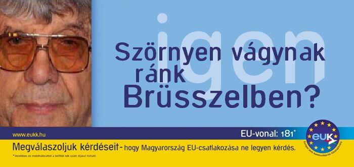 EU_euro_pandy.jpg