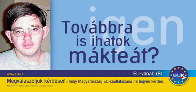 amaktea_eu.jpg