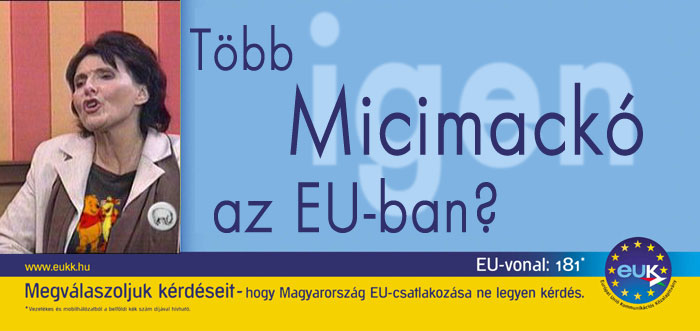 mici.jpg