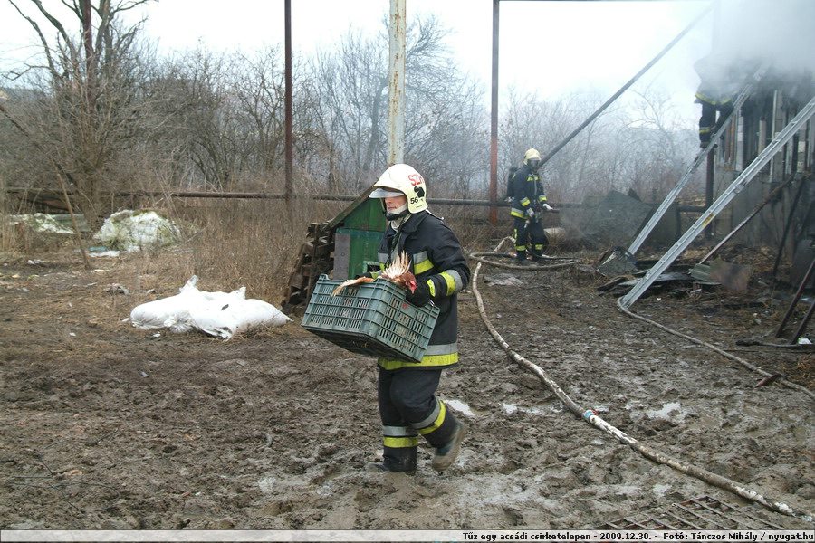 DSCF1315.JPG