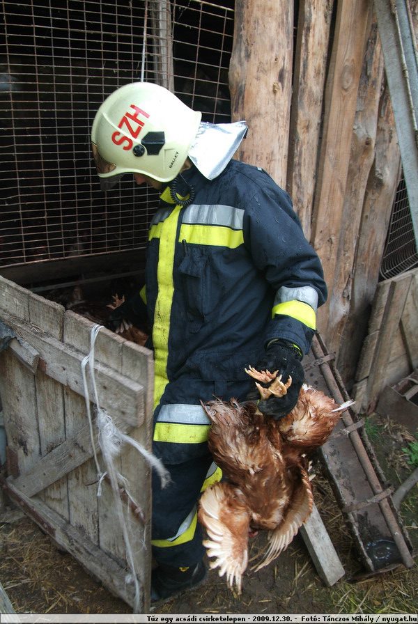 DSCF1316.JPG