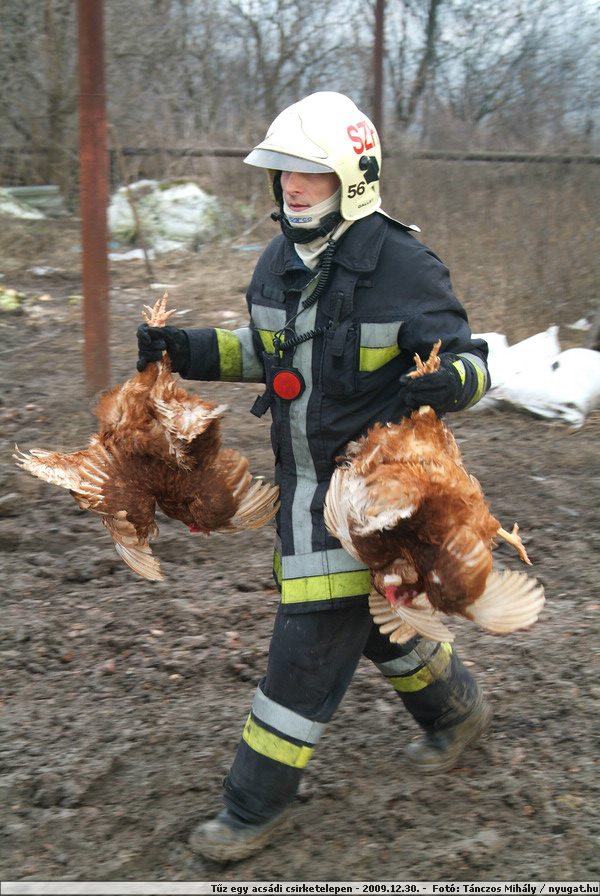 DSCF1348.JPG