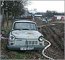 DSCF1227.JPG
