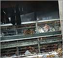 DSCF1255.JPG