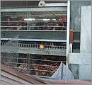 DSCF1295.JPG