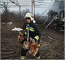 DSCF1311.JPG