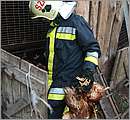 DSCF1316.JPG