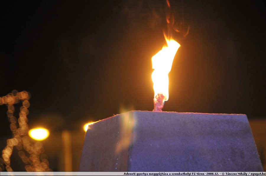 wDSC_0311.JPG