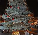 DSC_8986.JPG