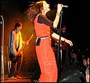DSCF2550.jpg