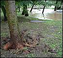 DSCF4570_arv.jpg