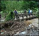 DSCF4571_arv.jpg