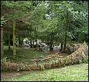 DSCF4587_arv.jpg