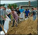 DSCF4595_arv.jpg