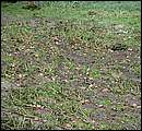 DSCF4618_arv.jpg
