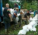 DSCF4646_arv.jpg