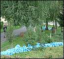 DSCF4668_arv.jpg