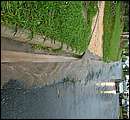 DSCF4695_arv.jpg