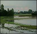 DSCF4720_arv.jpg