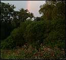 DSCF4748_arv.jpg