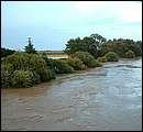 DSCF4760_arv.jpg