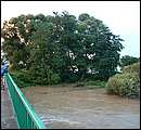 DSCF4762_arv.jpg