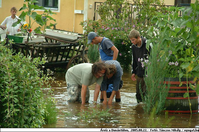 DSCF4485_arv.jpg
