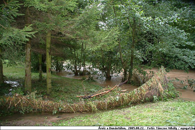 DSCF4587_arv.jpg