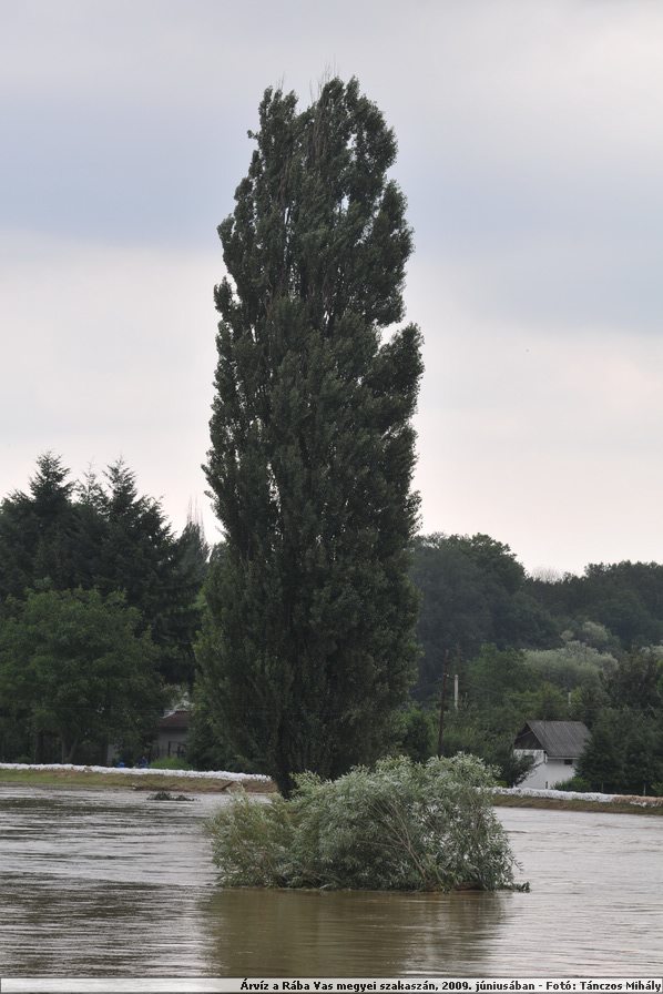 DSC_2572.JPG