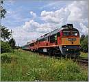 DSC_1513.JPG