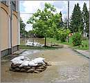 DSC_1551.JPG