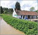 DSC_1658.JPG