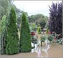 DSC_2084.JPG