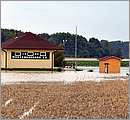 aDSC_2459.JPG