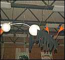 DSCF4344.jpg