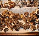 DSC_3693.JPG