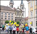 DSC_6951.JPG