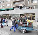 DSC_7013.JPG