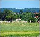 DSCF6967.jpg