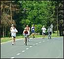 DSCF7030.jpg