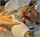 DSC_1308.JPG
