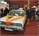 DSC_1427.JPG