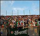 DSCF2258.jpg