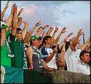 DSCF2481.jpg