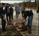DSCF6210.jpg