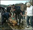 DSCF6217_haladas.jpg