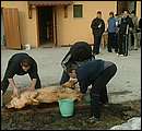 DSCF6228.jpg