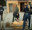 DSCF6230.jpg