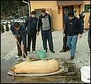 DSCF6234.jpg